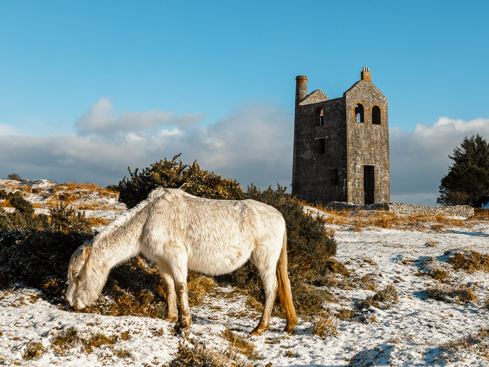 Minions in cornwall mines