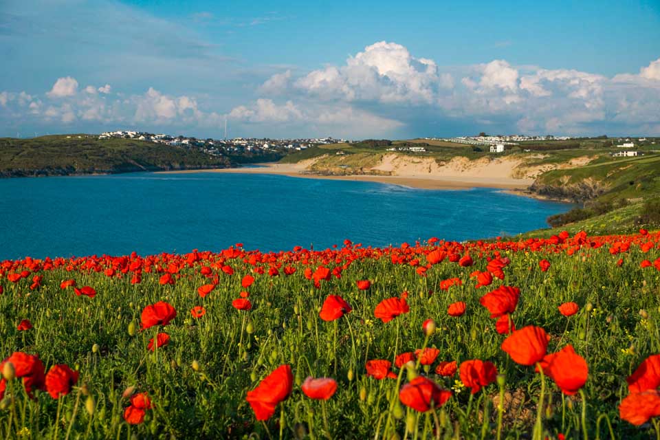 Cranrock by Scott Fisher
