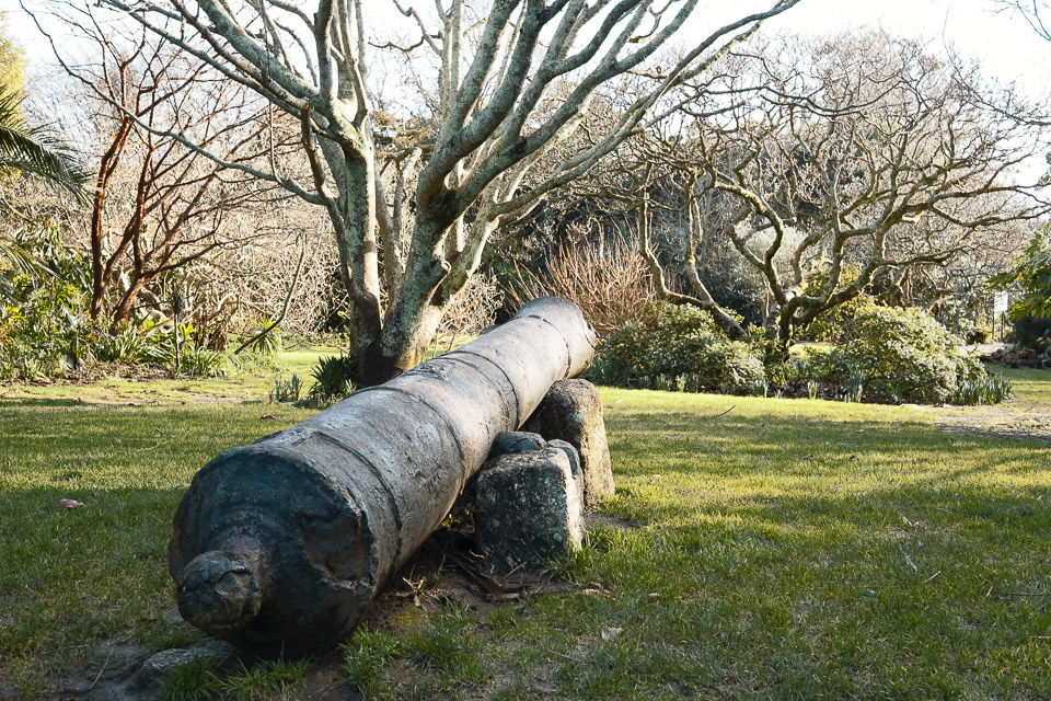 morrab gardens canon