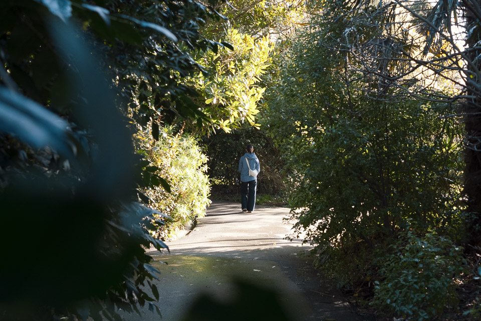 morrab gardens walking